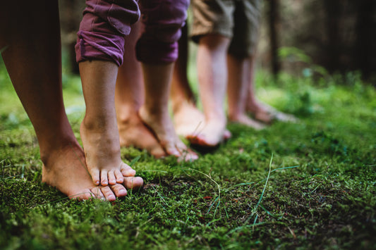 Grounding: Unlock the Earth's Power for Your Health and Serenity