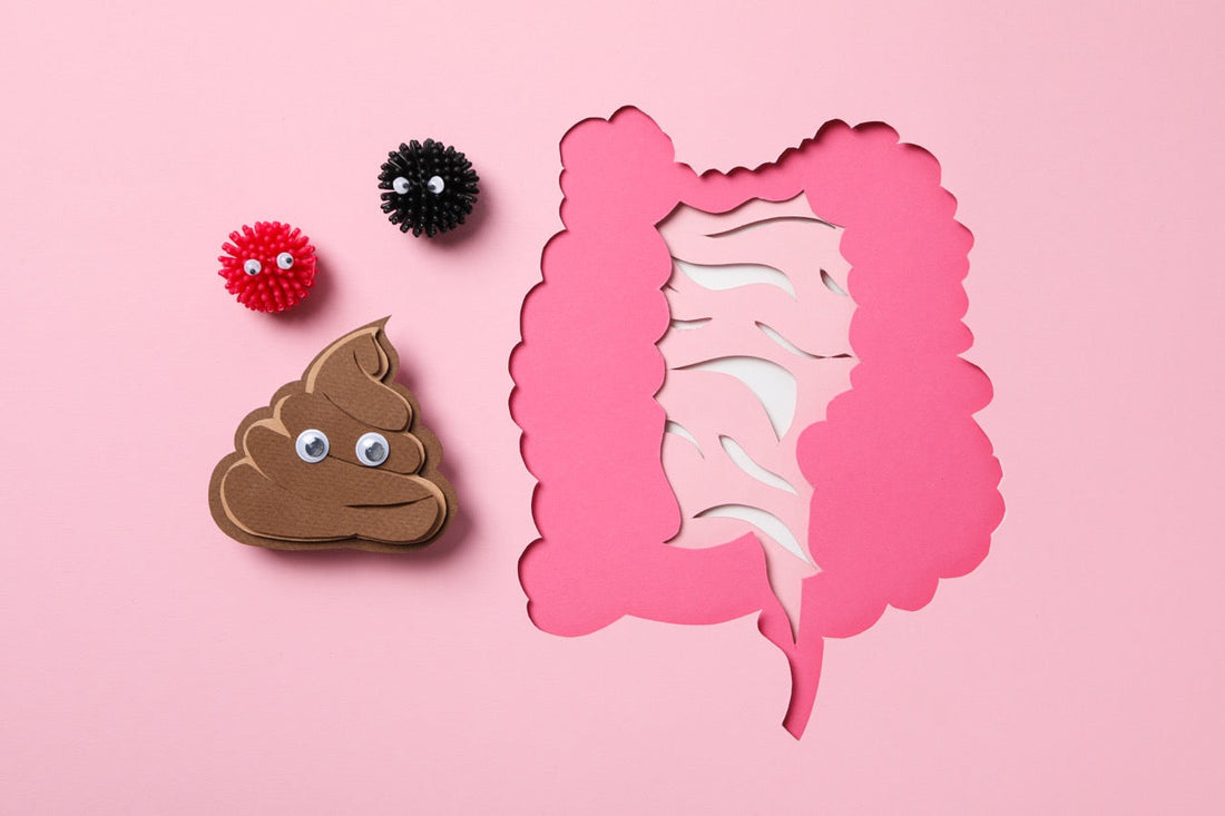 Gut Feeling: How a Healthy Digestive System Impacts Your Whole Body Wellness