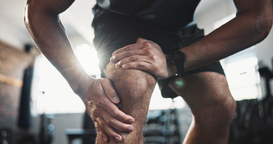 Back to School, Back to the Gym? Don't Forget Your Body!